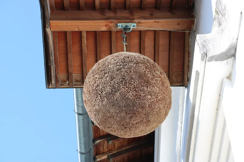 A sugidama cedar ball outside a sake brewery
